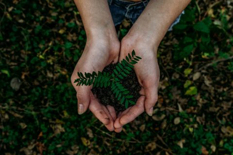 noah-buscher-x8ZStukS2PM-unsplash noah-buscher-x8ZStukS2PM-unsplash